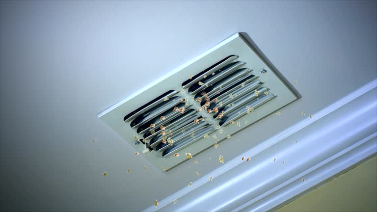 Best Local Air Duct Cleaning Services  in Paramus, NJ